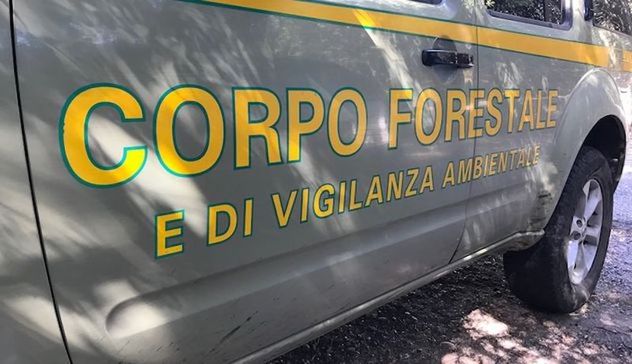 Bolotana (Sassari), nuova intimidazione contro le Guardie Forestali: incendiata l’auto del comandante della stazione di Benetutti