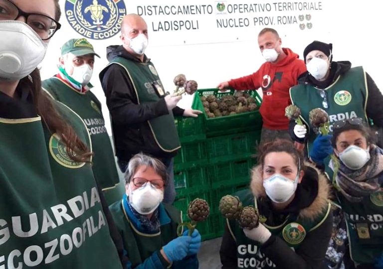 L’azienda Mencarini dona i carciofi e Fare Ambiente li distribuisce