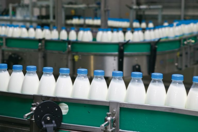 Crisi latte, da Testa di Lepre a Cerveteri sarà ritirato il 15% in meno