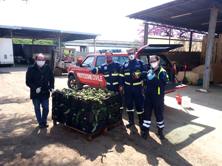 Carciofi alle famiglie romane, il gesto di solidarietà della famiglia Seri di Ladispoli 