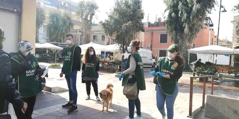 FareAmbiente Ladispoli: “Se non potete dar da mangiare agli animali avvertiteci”