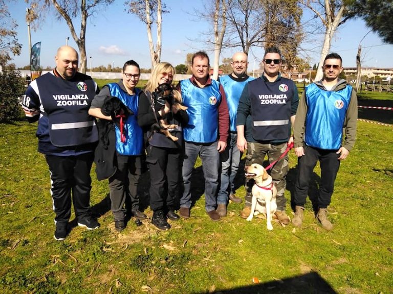 A Cerveteri e Ladispoli nasce una task force per accudire gli animali dei cittadini ricoverati