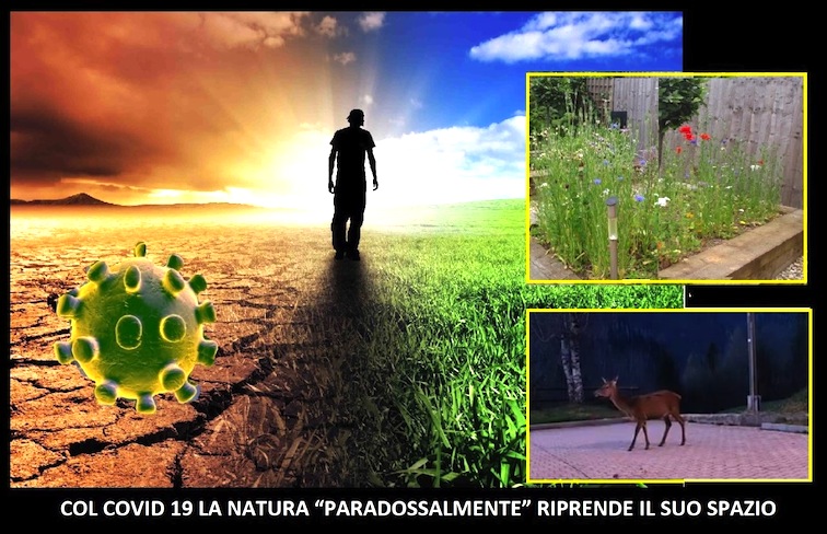 Col Covid-19 la natura “paradossalmente” riprende il suo spazio