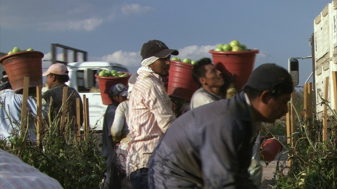 Migranti, raggiunto il compromesso per la regolarizzazione dei lavoratori del settore agricolo