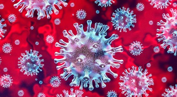 Coronavirus, la Cina disponibile all’indagine sulla fonte patogena che ha scatenato il Covid