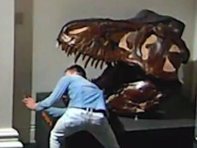 Australia, caccia all’uomo che è entrato illegamente nel museo dei dinosauri di Sidney