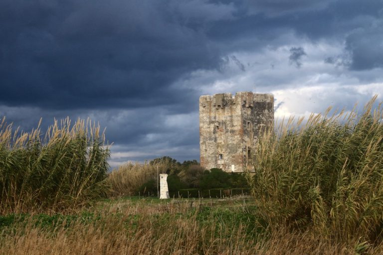 La Torre di Palidoro entra nella Lista Rossa in occasione della “Giornata virtuale dei beni in pericolo”