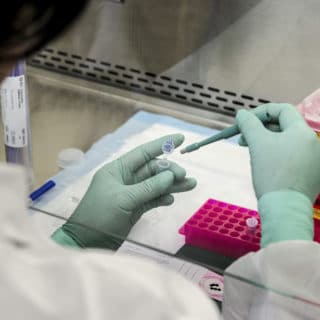 Coronavirus, in Umbria si registrano zero contagi