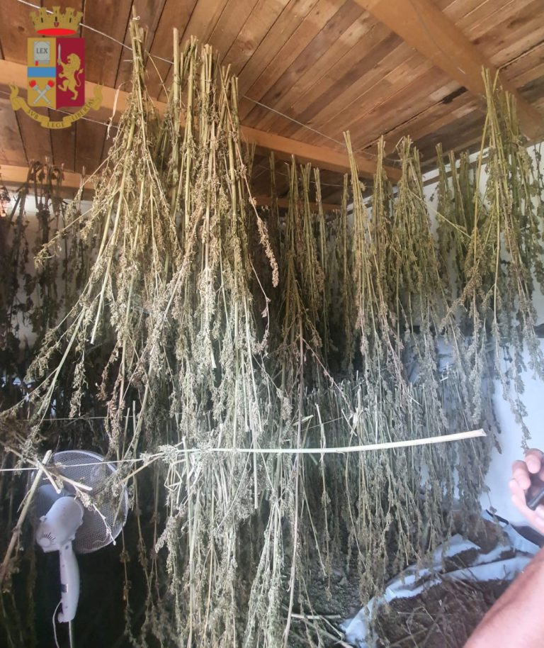 Denunciati dalla Polizia di Stato due italiani per spaccio, oltraggio, resistenza e violenza a Pubblico Ufficiale