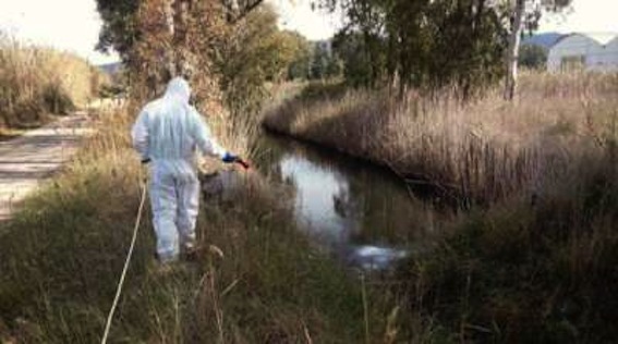 A Cerveteri al via agli interventi di disinfestazione dalle zanzare