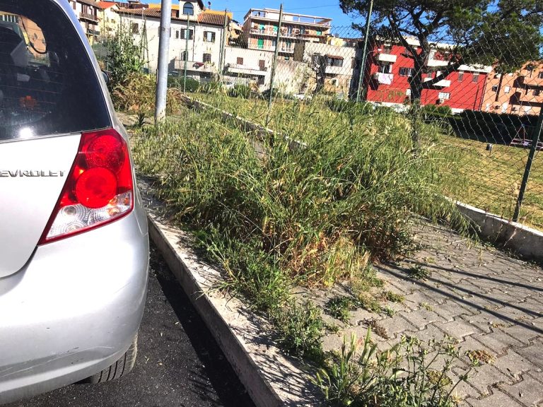 Luca Piergentili (Lega): “Erba alta in Via dei Vignali, necessario intervento”