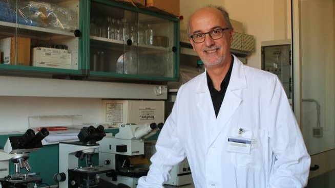 Coronavirus, il consiglio dell’epidemiologo Pier Luigi Lopalco: “Quello che dobbiamo fare noi oggi è prevenire la seconda ondata”