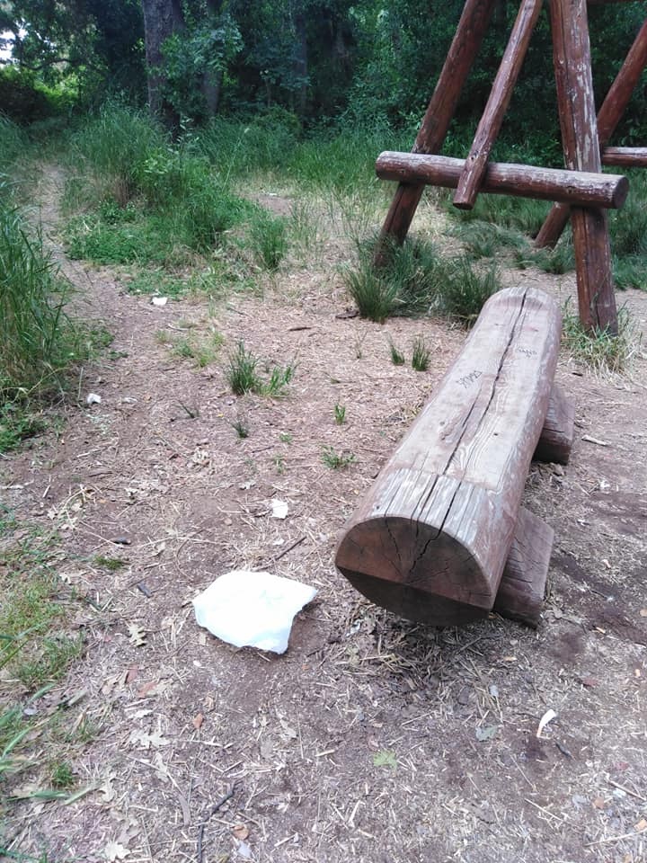 Cerveteri-Ladispoli, incivili in azione presso la Necropoli e al Bosco di Palo