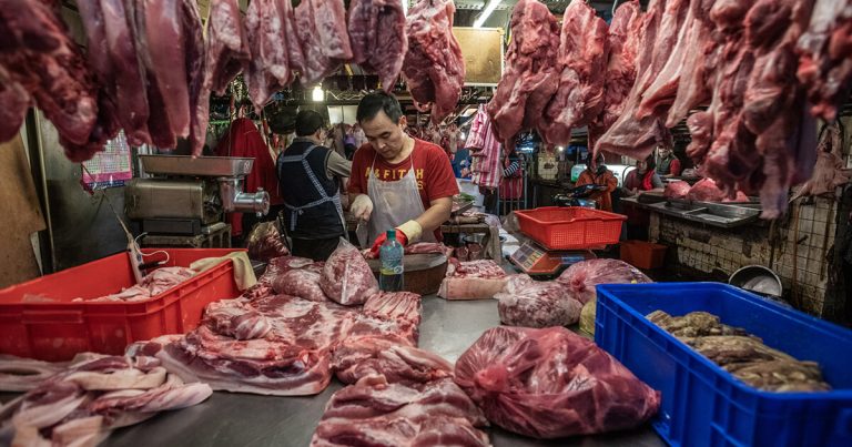 Coronavirus, a Wuhan vietata la caccia e il consumo di carni di animali selvatici per cinque anni