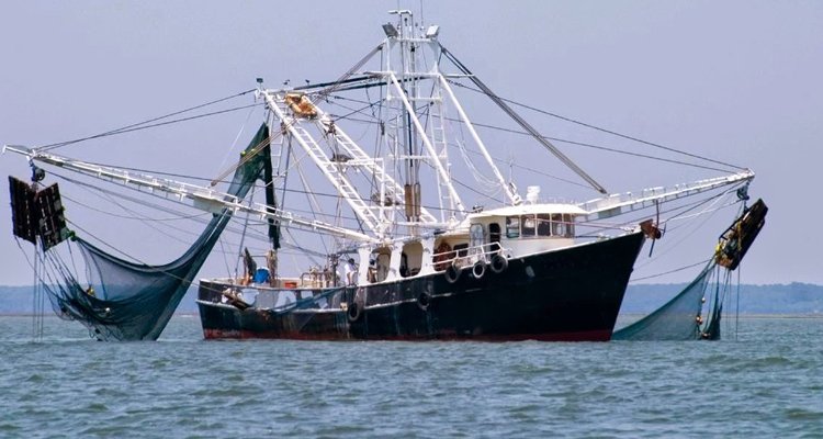 Coldiretti Lazio: il coronavirus affonda la pesca