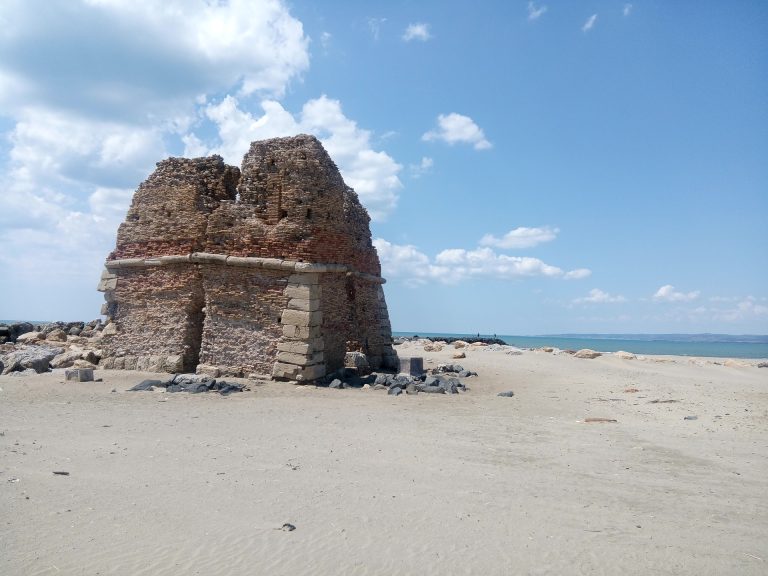 Scuolambiente: “Appello per Torre Flavia Nord, un’area da tutelare e valorizzare”