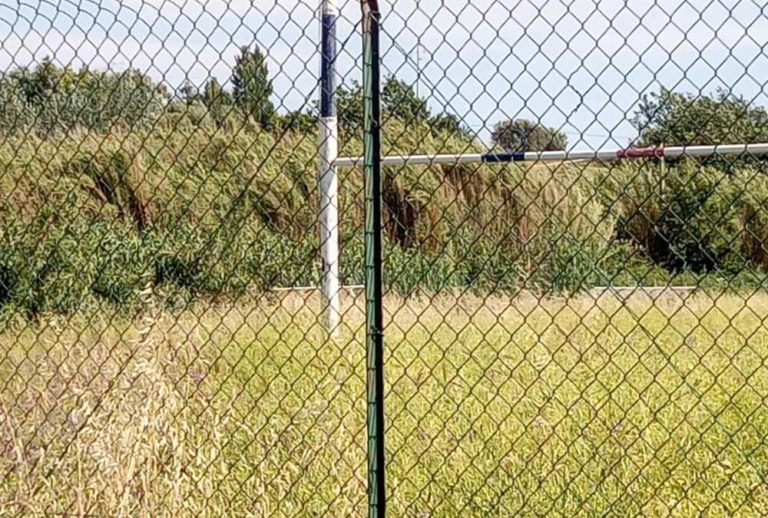 Il campo da rugby di Cerveteri abbandonato: erba alta ovunqu