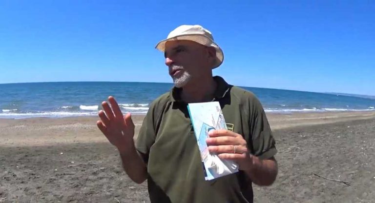 Campo di Mare, a Torre Flavia la spiaggia diventa ecologica