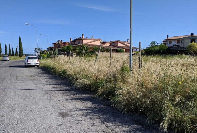 “Giungla” in viale Mediterraneo a Ladispoli