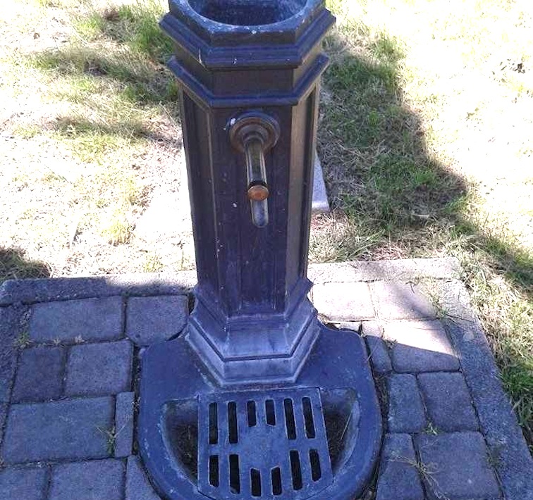 Coliformi nell’acqua di piazzale delle Sirene