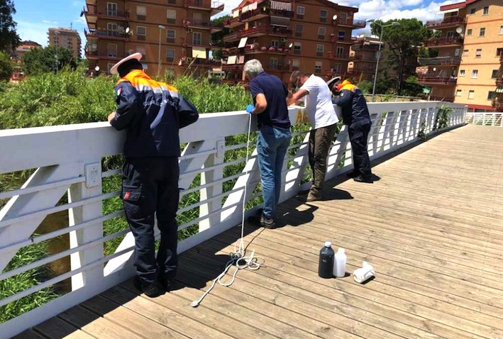 Sversamento “sospetto” nel fosso Sanguinara, la Guardia Costiera chiarisce: “Un tubo premente”