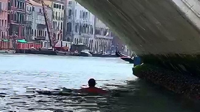 Venezia, turisti tedeschi fanno il bagno nel Canal Grande: multati