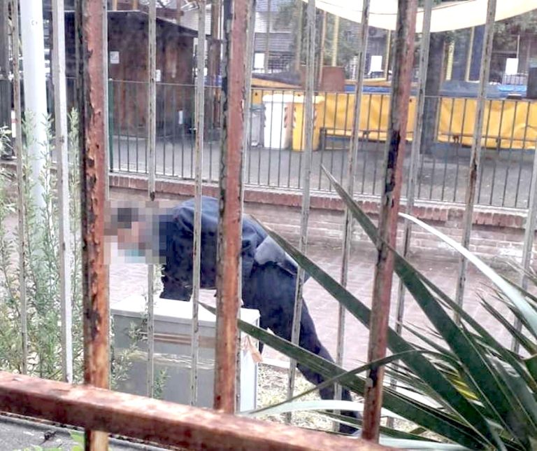 Una pistola nascosta nei cespugli della stazione trovata dai Carabinieri