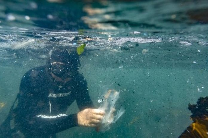 Mar Tirreno, registrata una diffusa presenza di microplastiche: a rischio l’ecosistema