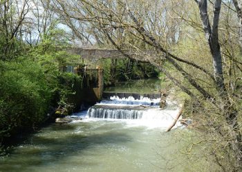 Contratto di Fiume Arrone, il progetto va avanti