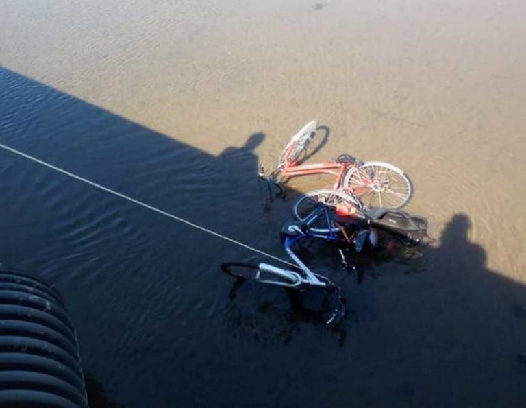 Bici gettate nel Vaccina recuperate dagli agenti di Fare Ambiente Ladispoli