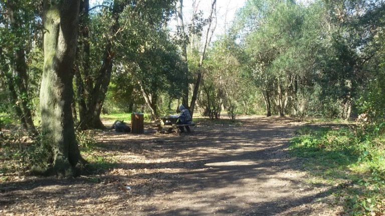 L’Acea intervenga per contrastare subito i rigurgiti fognari nel bosco