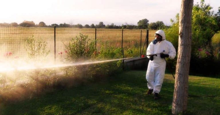 Al via la disinfestazione delle zanzare: il programma
