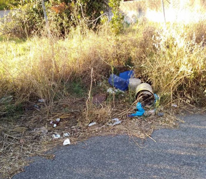 Erbacce sui marciapiede di via Capri, protestano i residenti