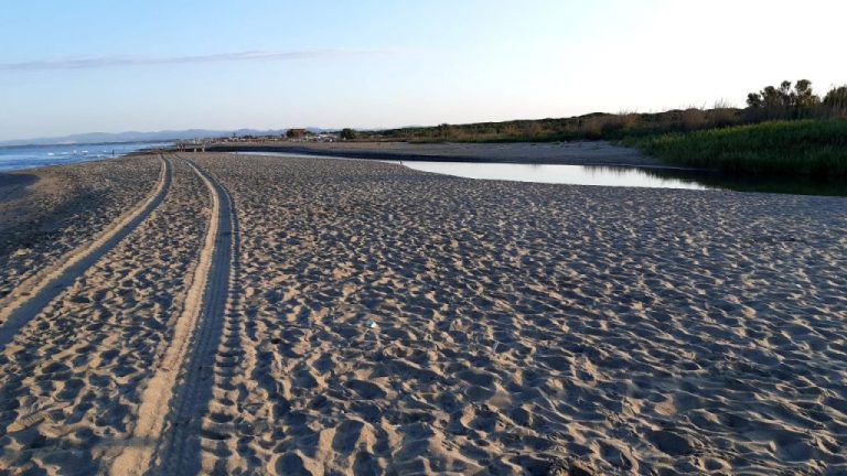 “Completata pulizia spiagge in area di riserva a Focene, sull’Arrone e Palidoro”