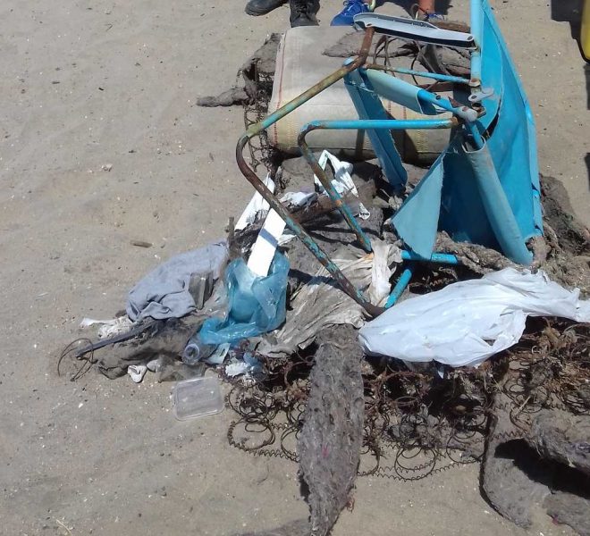 Bonifica di materiali pesanti con operatori e volontari di Torre Flavia