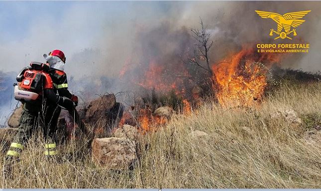 Mandas (Cagliari), allevatore indagato per un incendio doloso