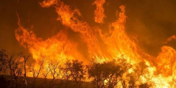 Usa, impegnati 1.300 vigili del fuoco per spegnere i vasti incendi nel sud della California