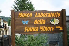 Un museo di scienze naturali e ambientali a Ladispoli?