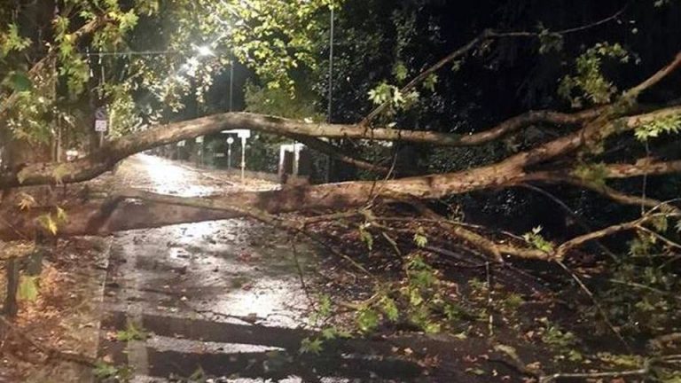 Marina di Massa: tragedia di un camping, un albero travolge una tenda. Morte due bambine di 3 e 14 anni