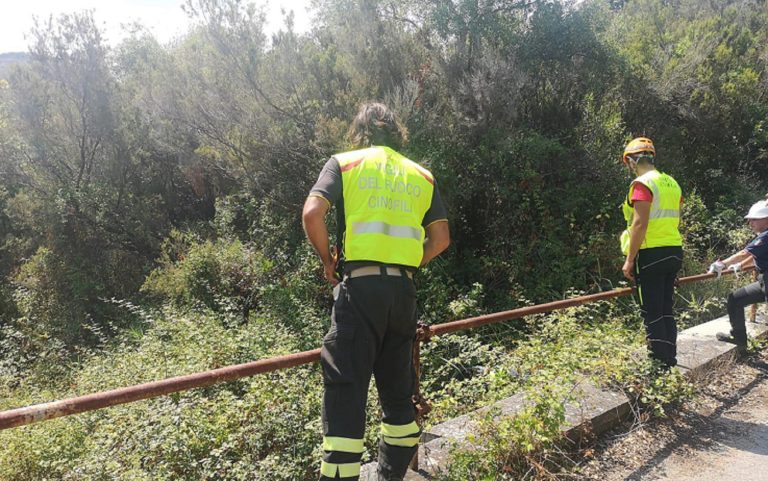 Messina, si allarga l’area delle ricerche del piccolo Gioele scomparso nei boschi di Caronia