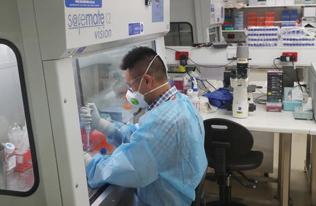 Coronavirus, in Italia l’indice di contagio Rt è stabile allo 0,68 per cento