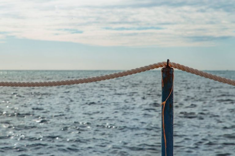 “Sapori di mare, sapori d’Italia”: mercatino e giochi per bambini