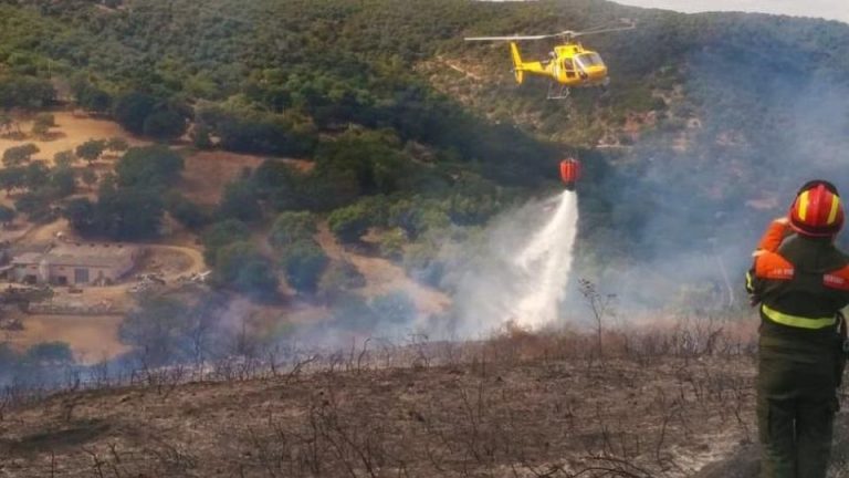 Sardegna, vigili del fuoco e Canadair impegnati per una serie di incendi nel Sassarese