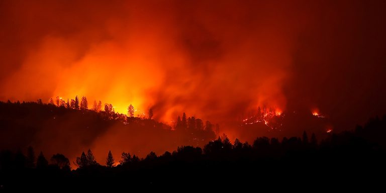 Usa, in California bruciati 400mila ettari di vegetazione in una settimana