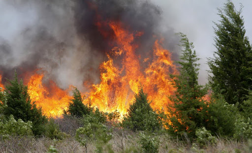 Allarme in Italia per i 500 incendi che stanno recando seri danni ai boschi del “Bel Paese”