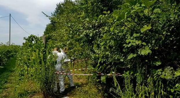 Shock a Roccapiemonte (Salerno), trovato il corpicino senza vita di un neonato in un cespuglio