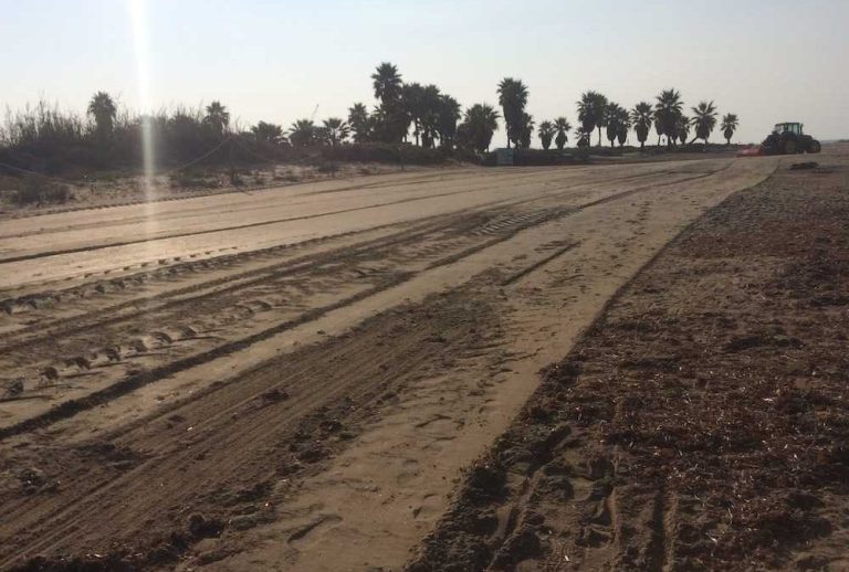 Dune distrutte a Torre Flavia: prende la parola Italia in Comune