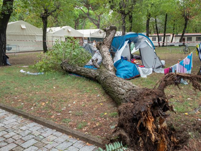 Marina di Massa, i periti agronomi sono al lavoro sulla vicenda delle due bambine uccise da un albero nel camping “Verde Mare”