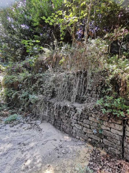 “Bosco straziato”a Valcanneto