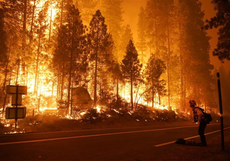 California: i violenti incendi hanno distrutto due milioni di ettari di terreno e ucciso 35 persone